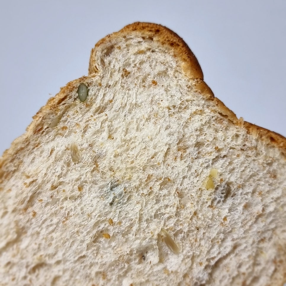 식사빵 이미지