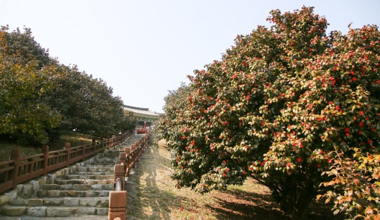 동백한상 이미지