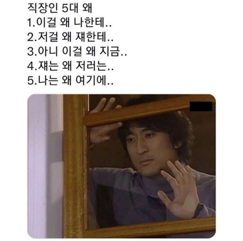 (주)도마 이미지