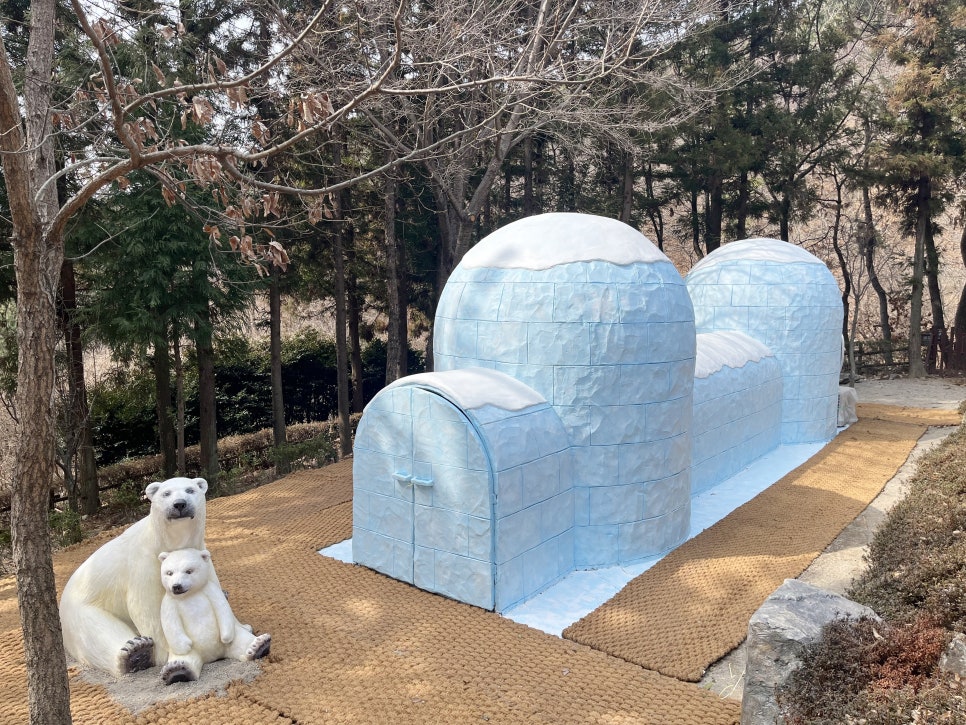 구덕산 유아숲체험원 이미지