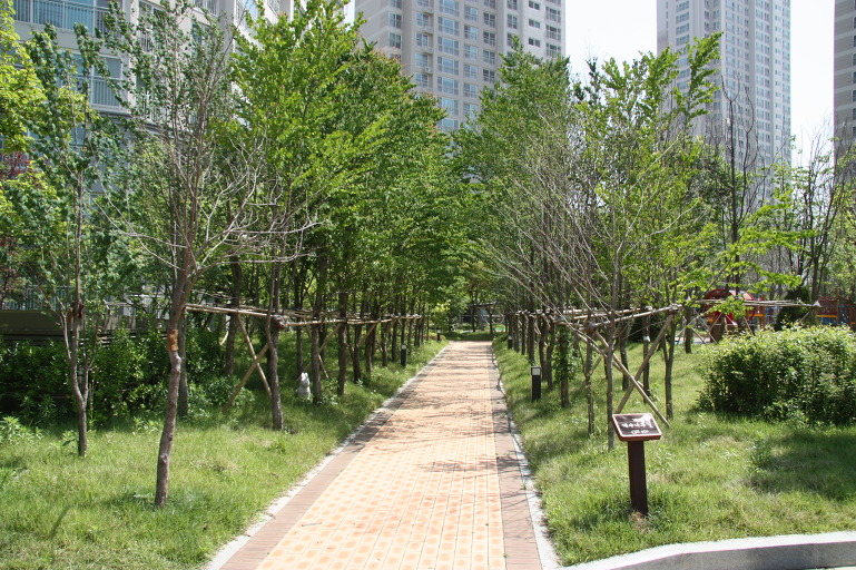 대성조경 이미지