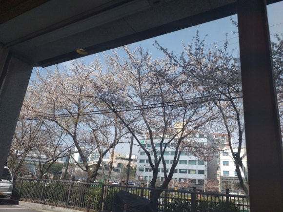 텐텐하오 이미지