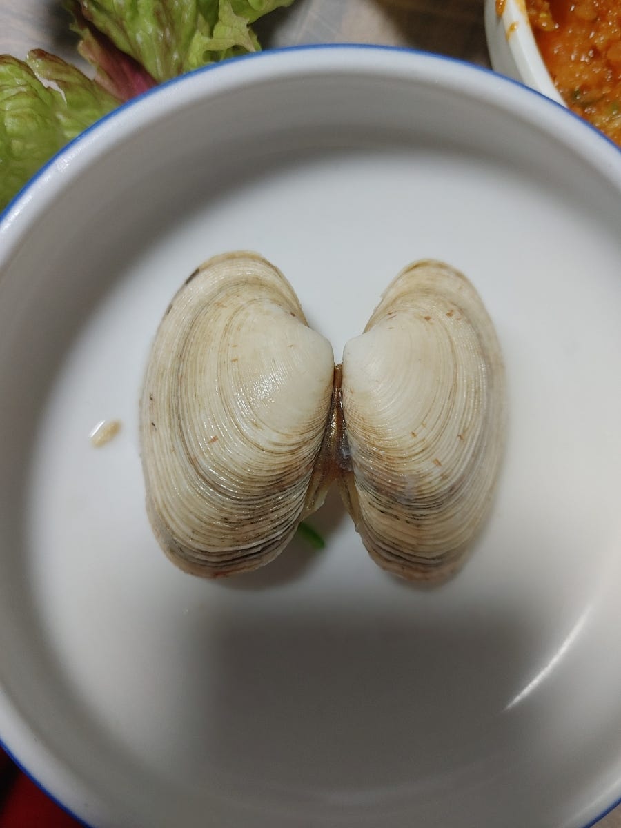 다리와다리사이횟집 이미지