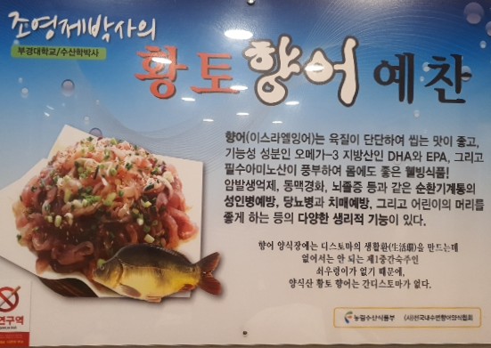 원조서원향어가 이미지