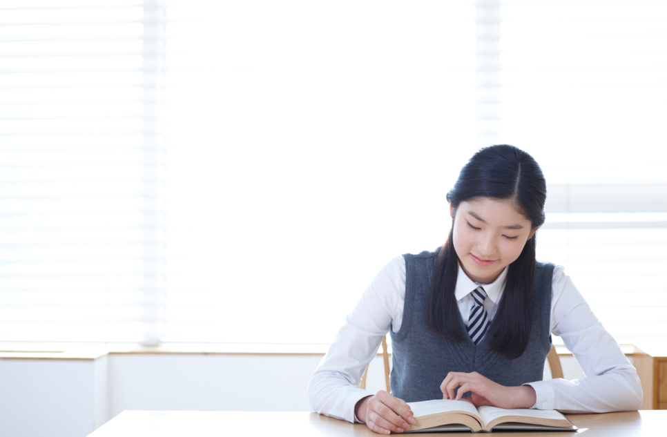 메타토브 이미지