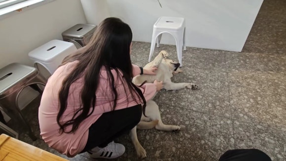 소소살롱 경안점 이미지