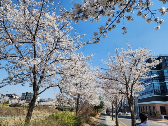 이가네생면국수 이미지