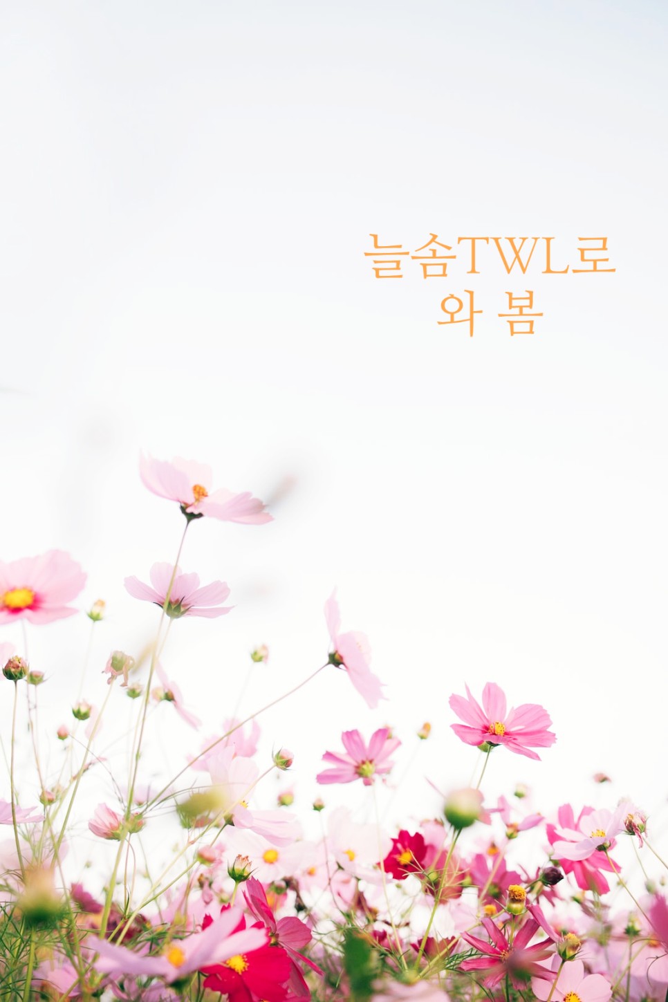 베스트옷수선 이미지