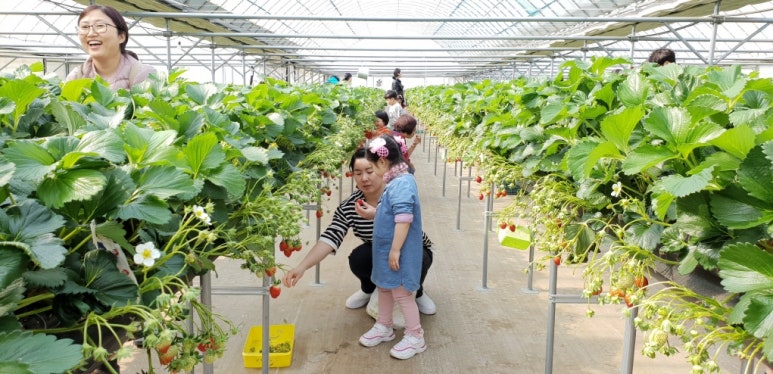 채혜성 이미지