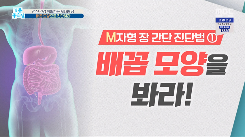 케렌시아 솔 이미지