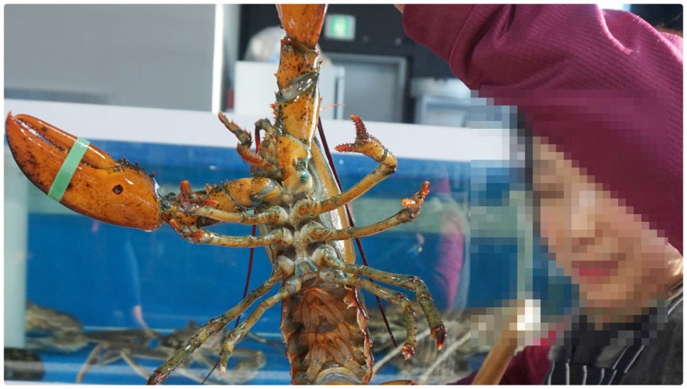 싱싱조개구이.횟집 이미지