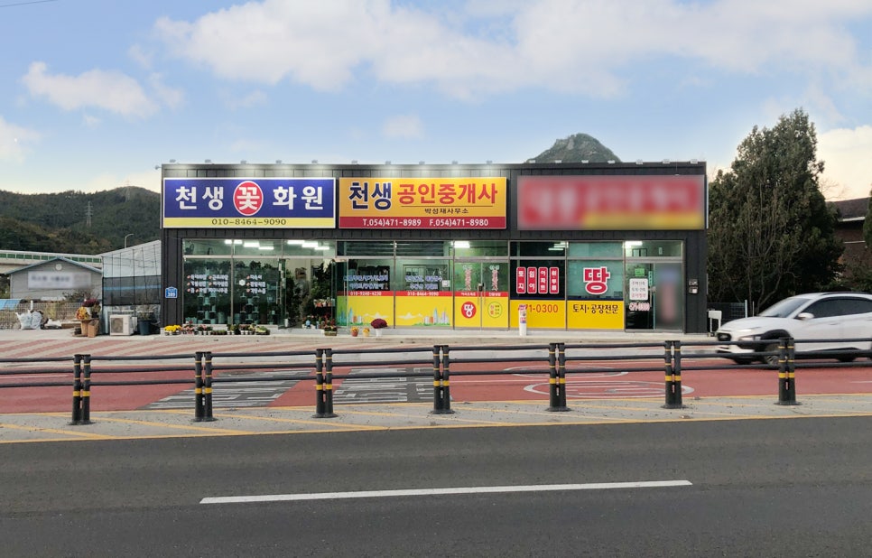 강동꽃화원 이미지