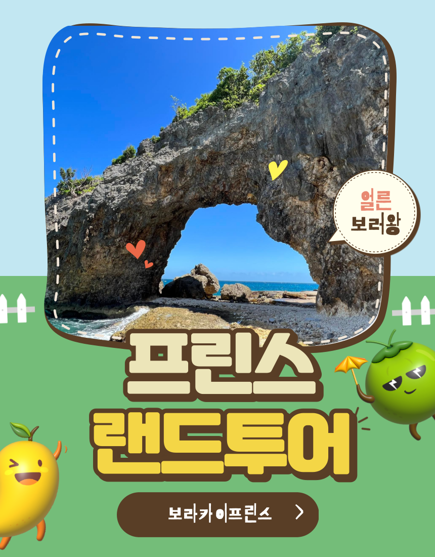 보라카이프린스 이미지