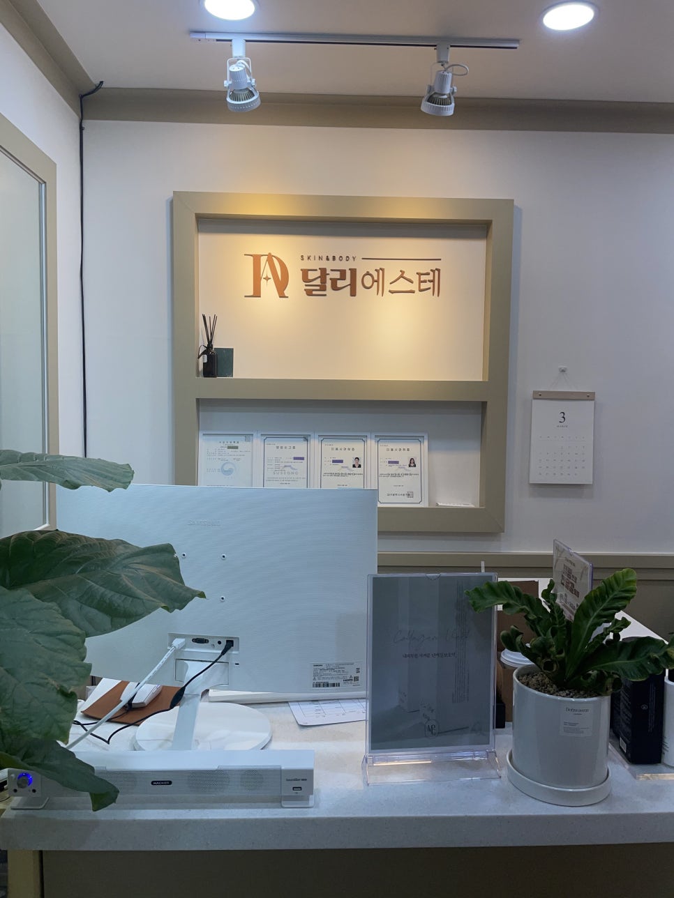달리에스테 이미지
