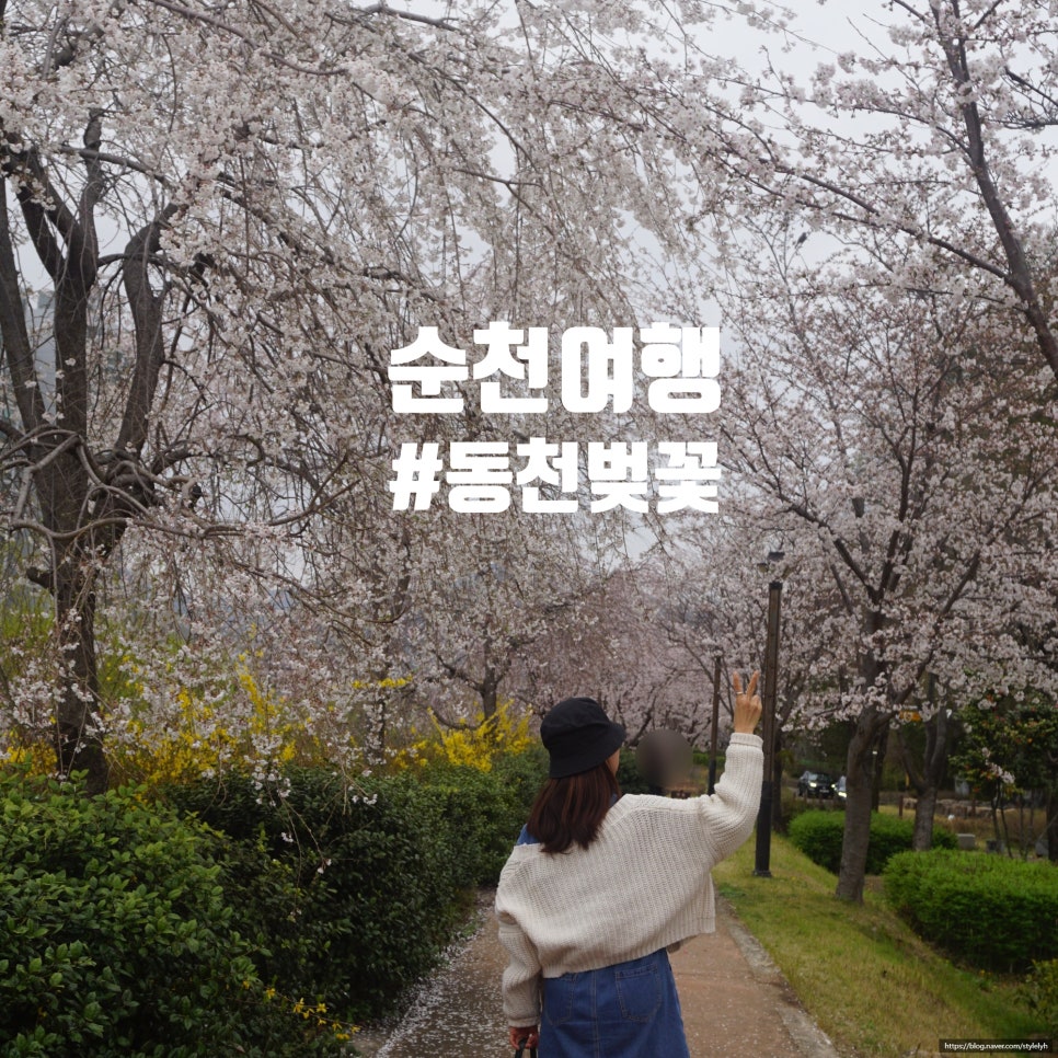 은희통닭 이미지