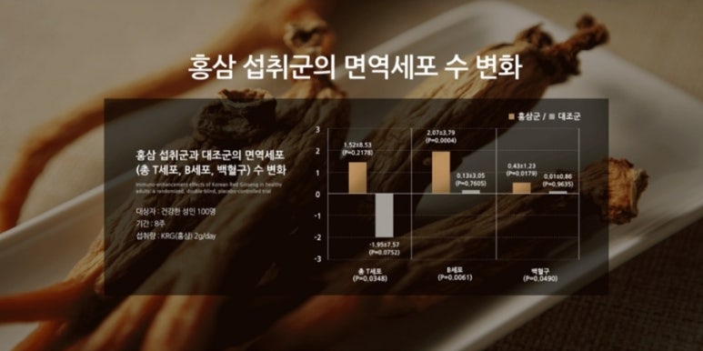 더루트 이미지