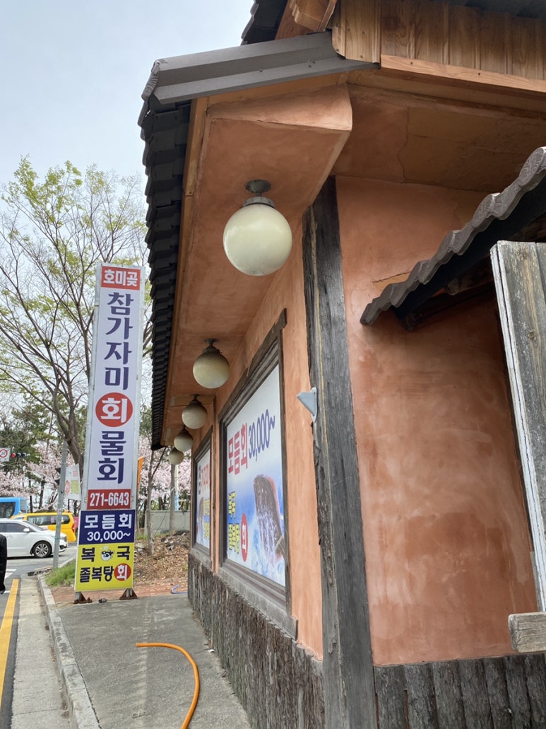 호미곶참가자미 이미지