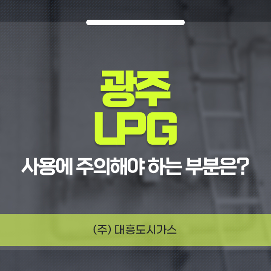 대흥엘피지 이미지