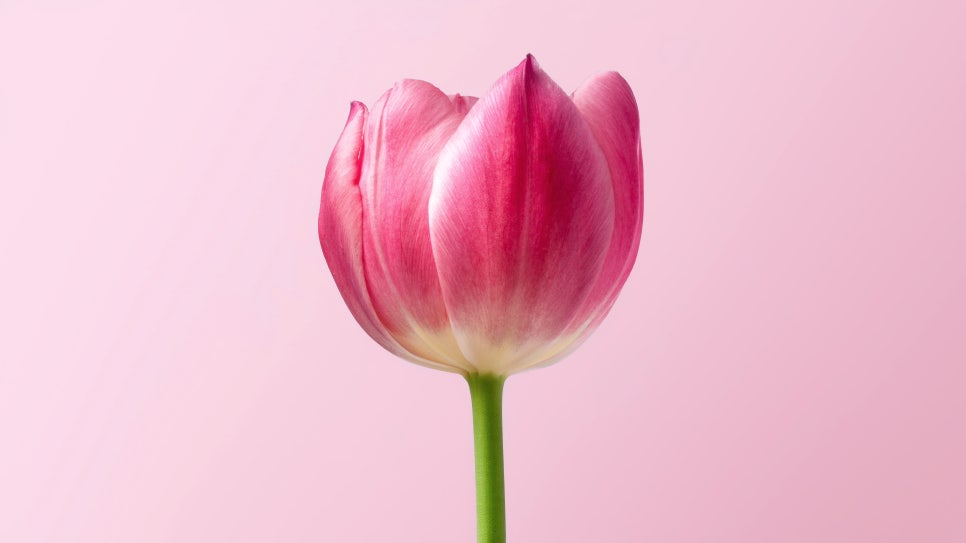 유일테크 이미지