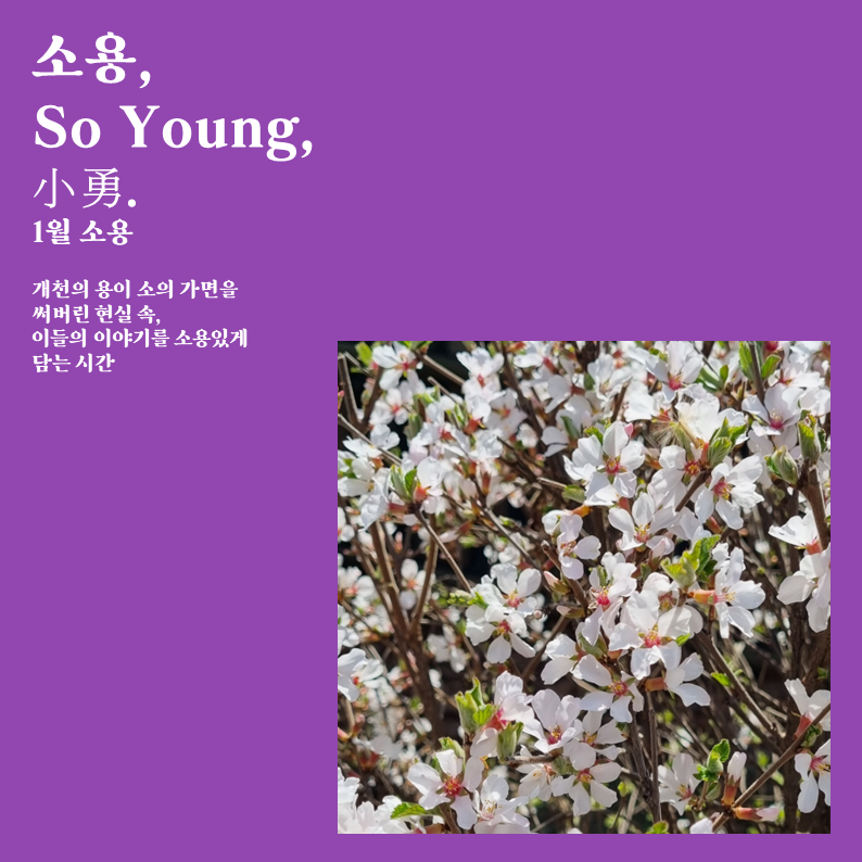 뜀수 이미지