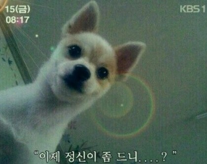 한투어 이미지