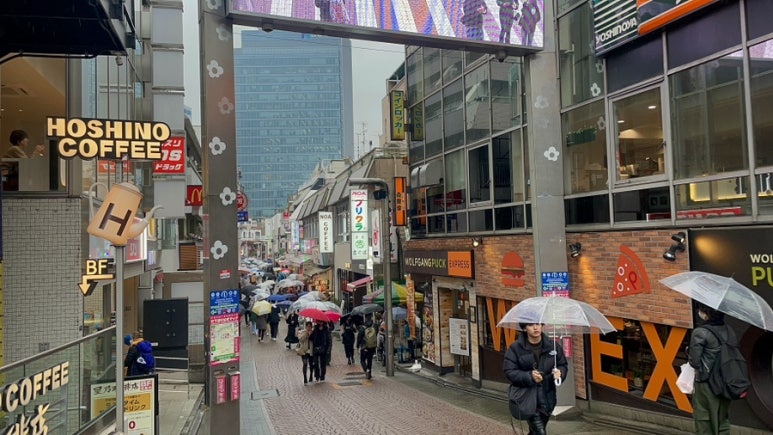 스시도리 이미지