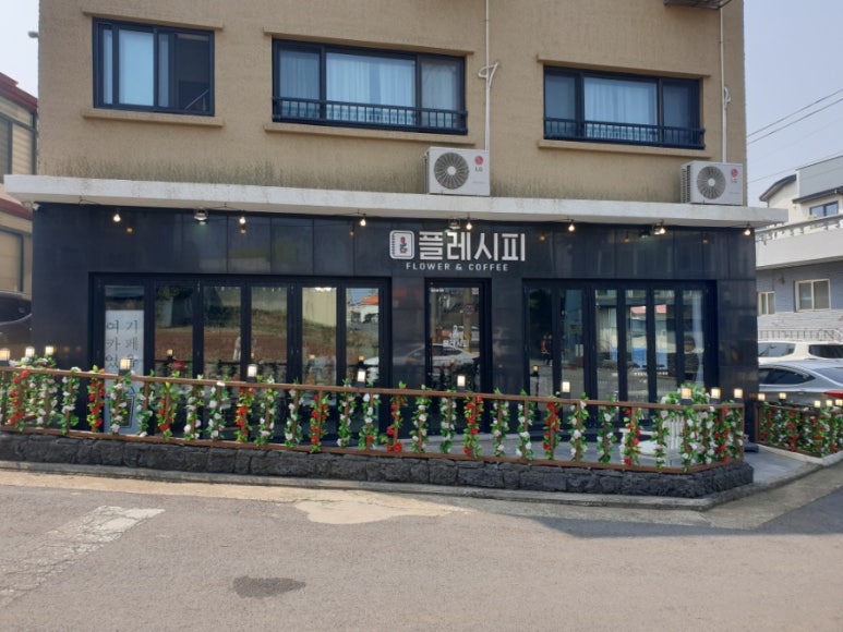 플레시피 이미지