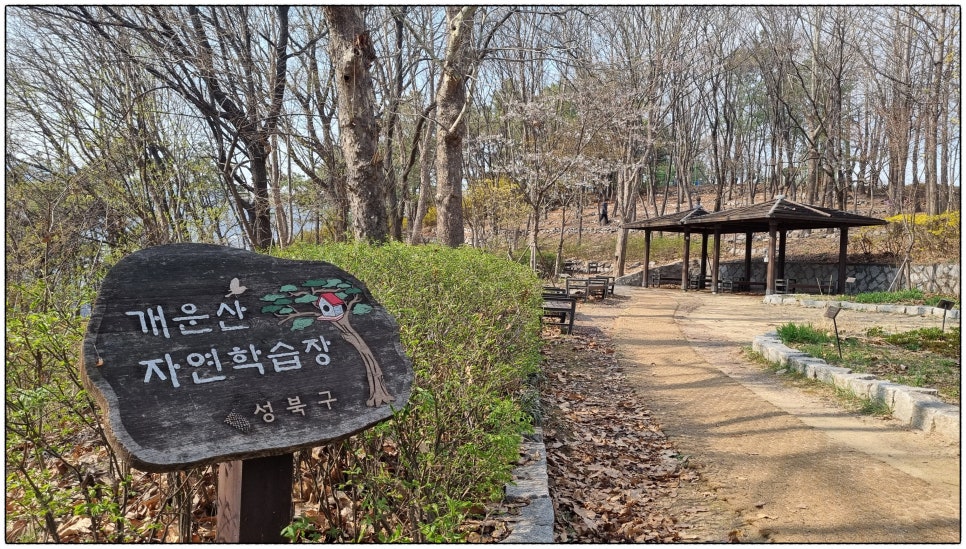 개운산 자연학습장 이미지