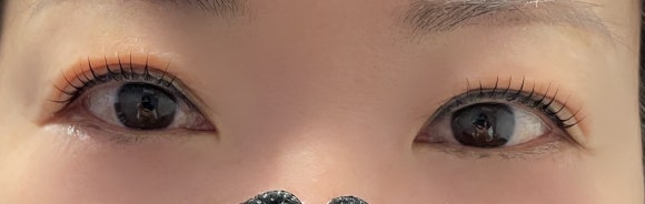 멜리니즈 이미지
