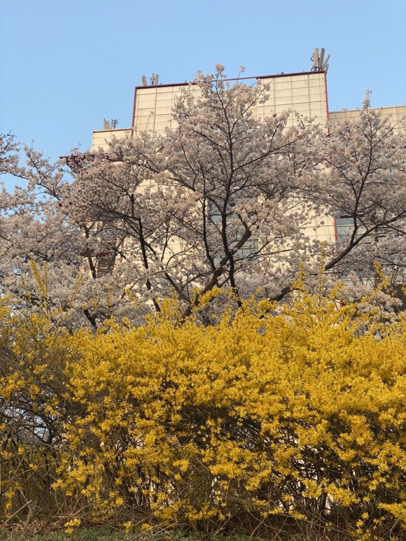 카리스피부관리실 이미지
