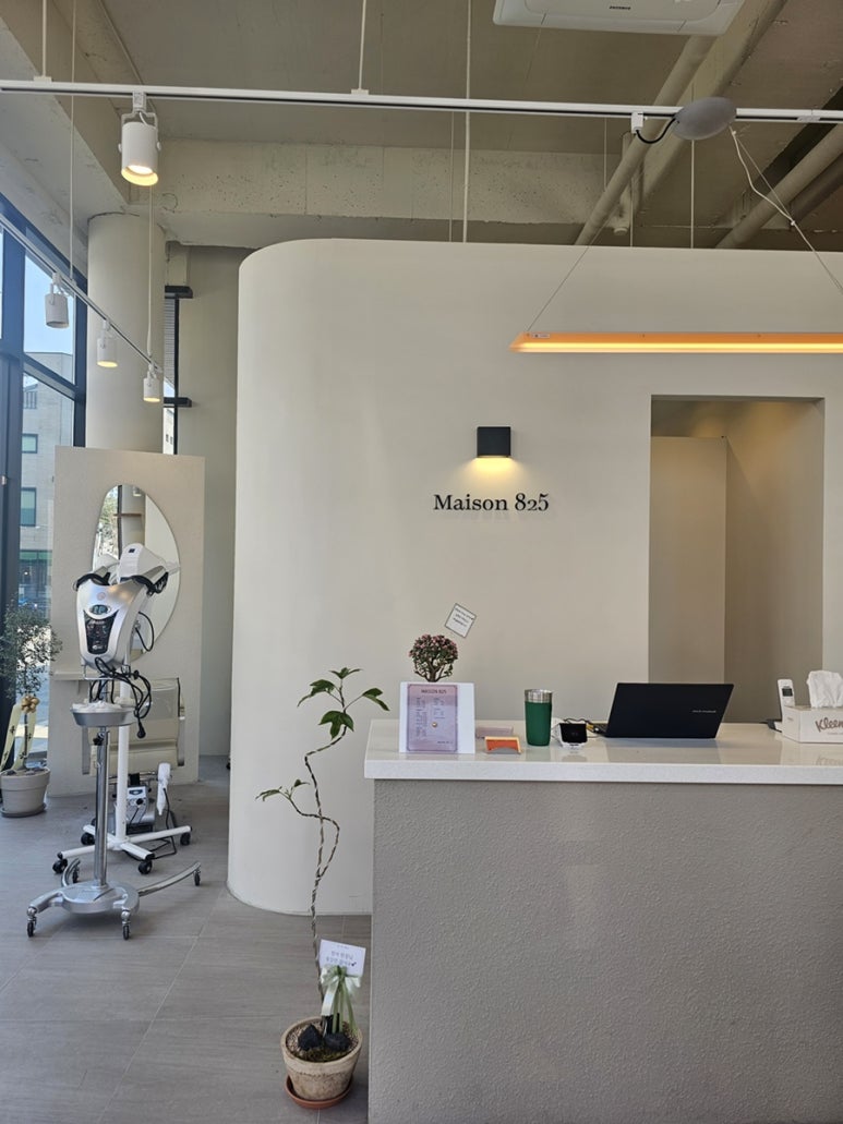 메종825,maison825 이미지
