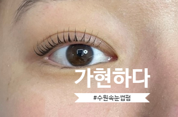 가현하다 이미지