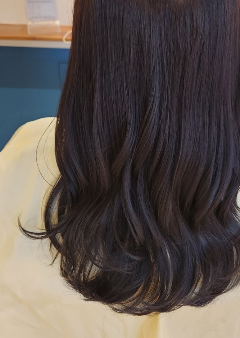 바이다교 이미지