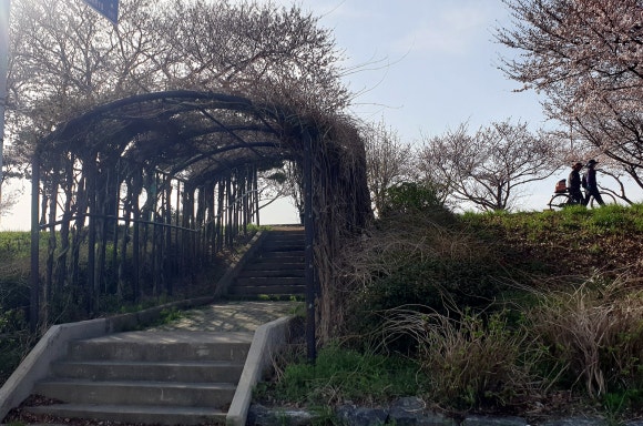 삼락주유소 이미지