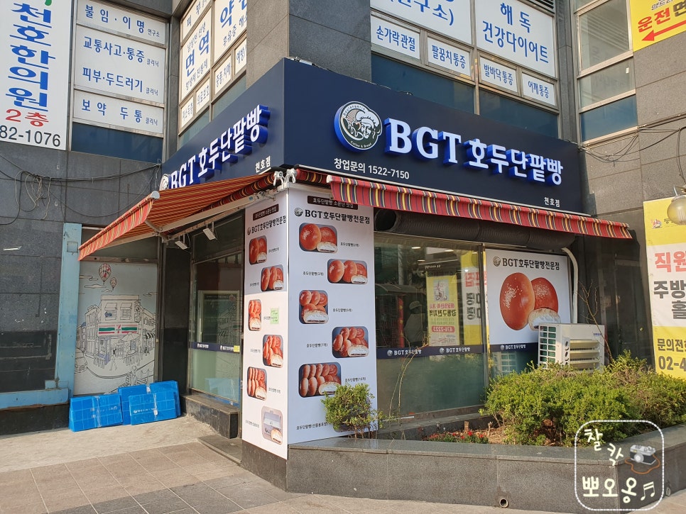 호두 단팥빵(BGT) 이미지