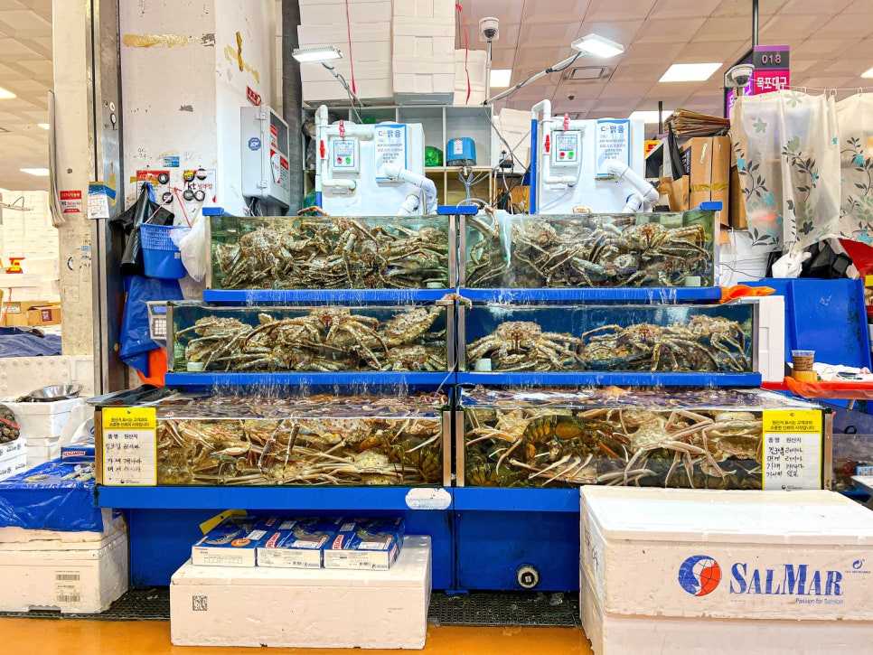 올라상회 이미지