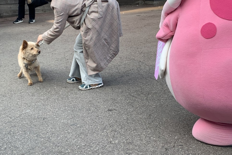 두꺼비노래연습장 이미지