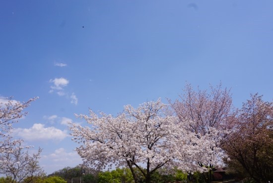 태산종합환경 이미지