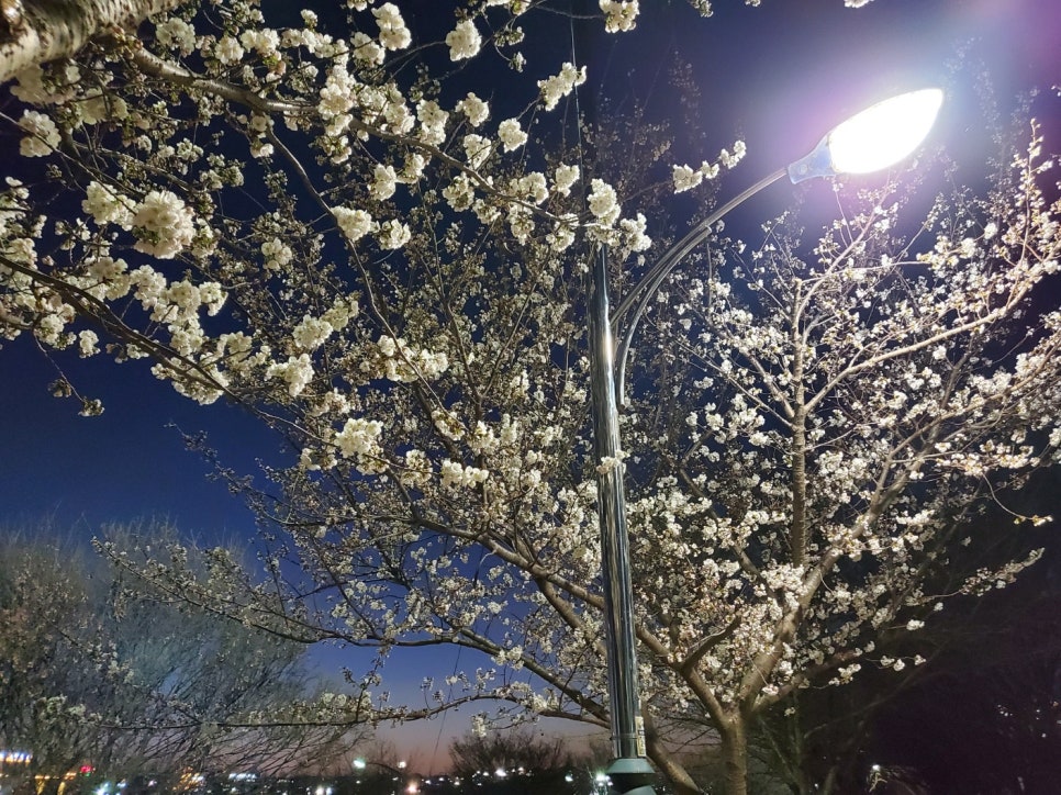 그린기프트서울 이미지