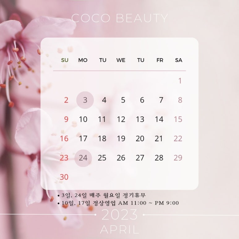 코코속눈썹 이미지