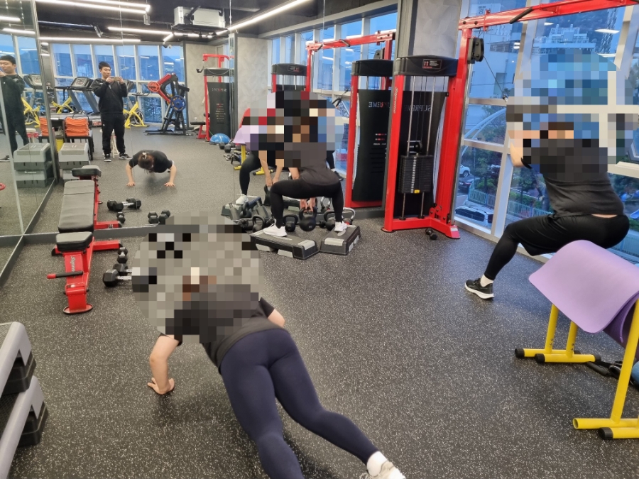 팀에스 이미지