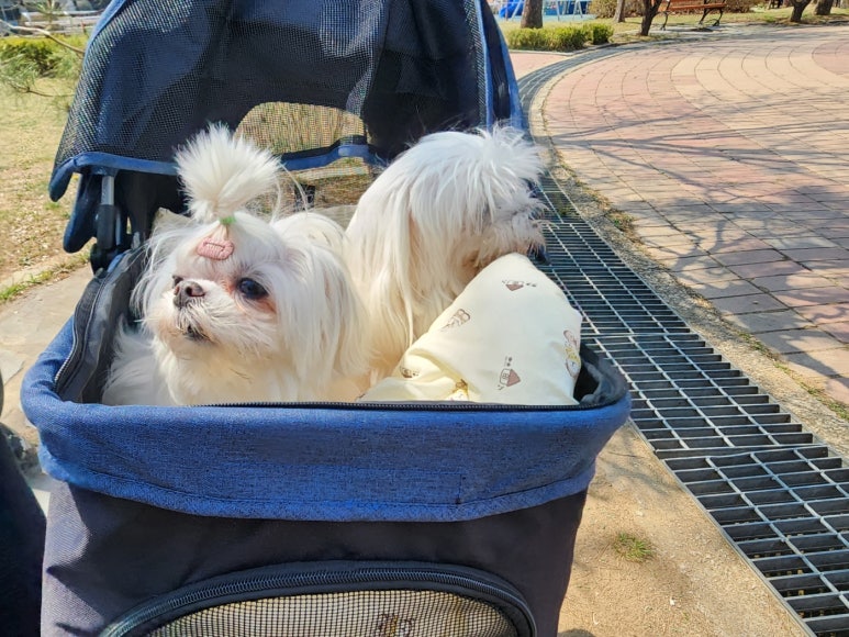 재궁공원 이미지