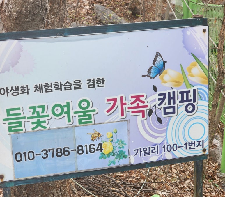 들꽃여울캠핑장 이미지