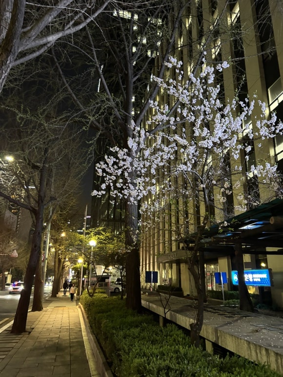 파티세리 아프렘 이미지
