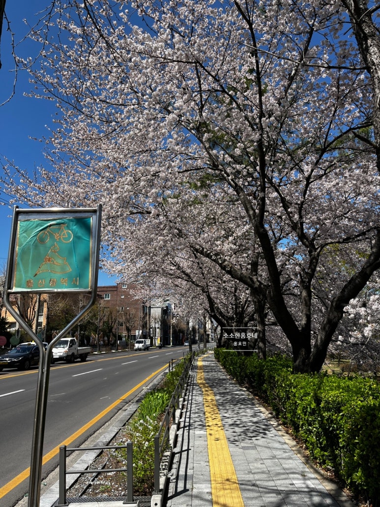 울산해변횟집 이미지