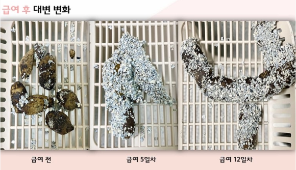 피쉬앤키친 이미지