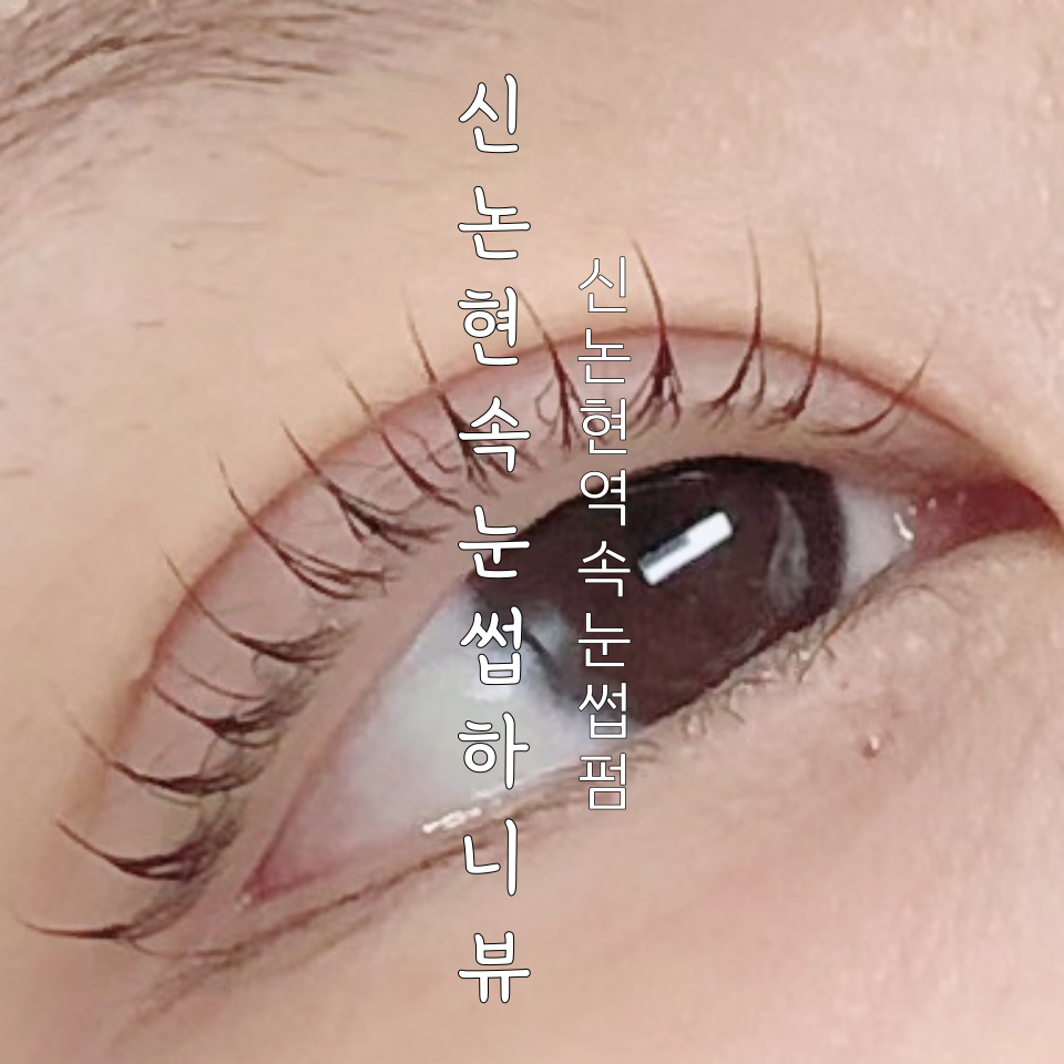 신논현 속눈썹 하니뷰 이미지
