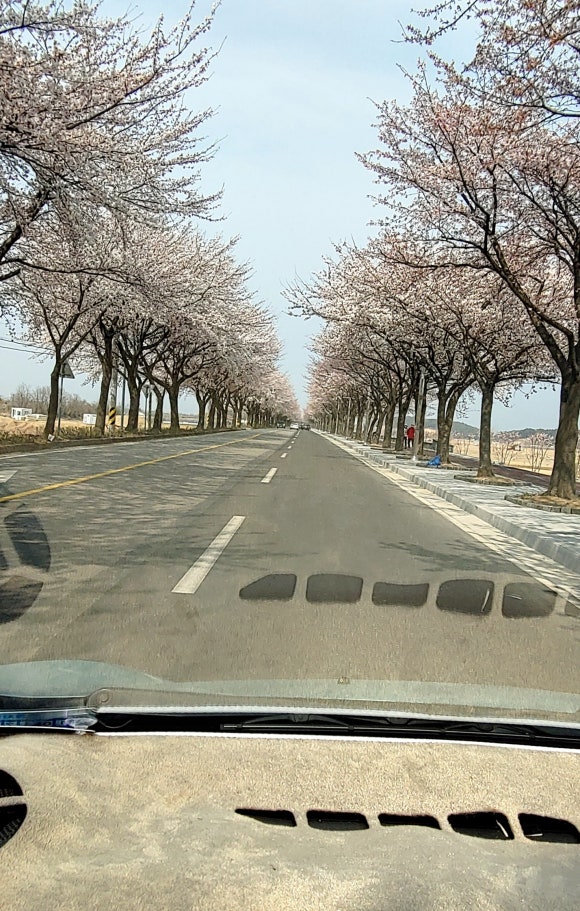 고성교차로 후 이미지