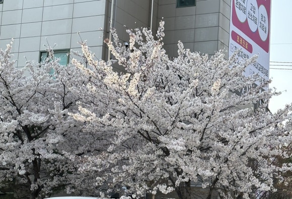 가야산식육식당 이미지