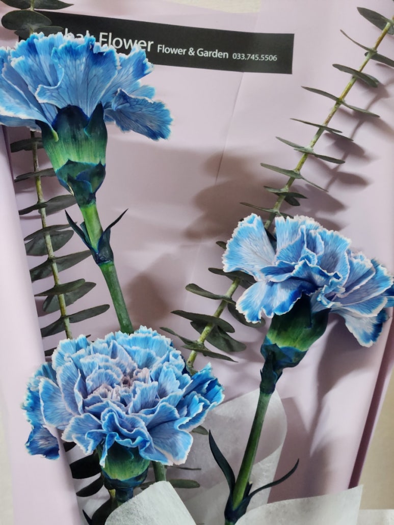 호박꽃화원 이미지